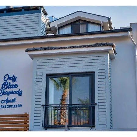 Only Blue Rhapsody 4
